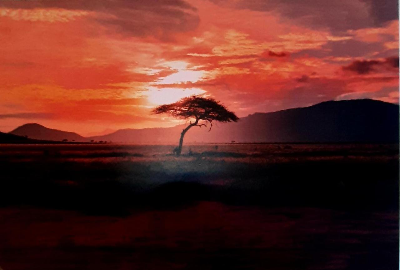 Serengeti Nap Comfy Rooms Sidari  Exterior photo